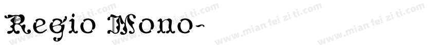 Regio Mono字体转换